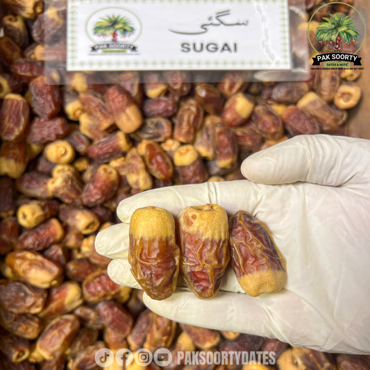 Sugai Dates l تمر صقعي
