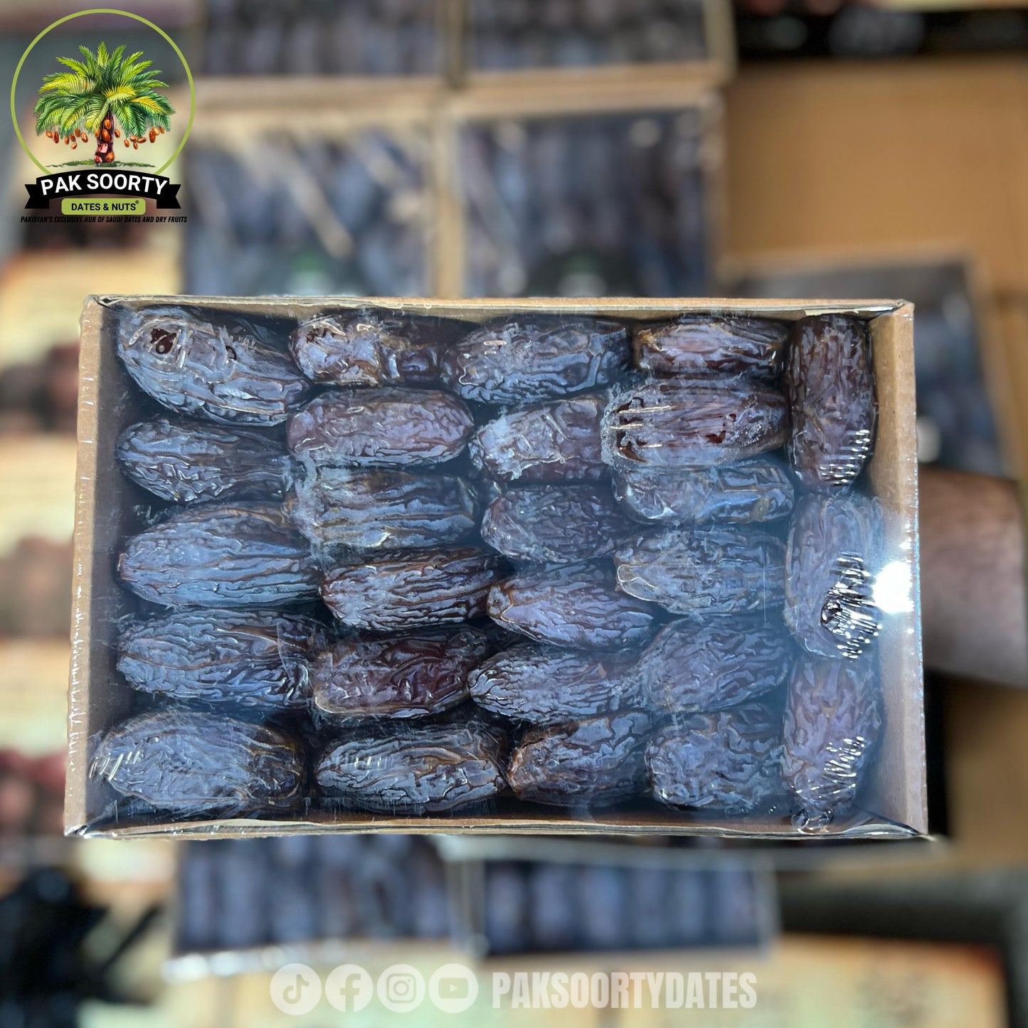 Medjool Jordan l مجدول الأردن