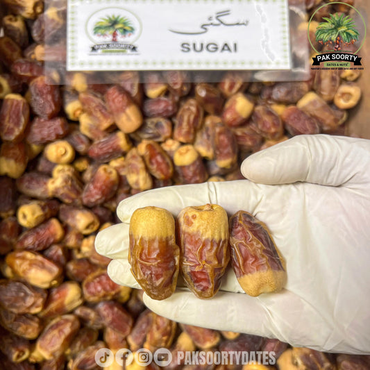 Sugai Dates  l تمر صقعي