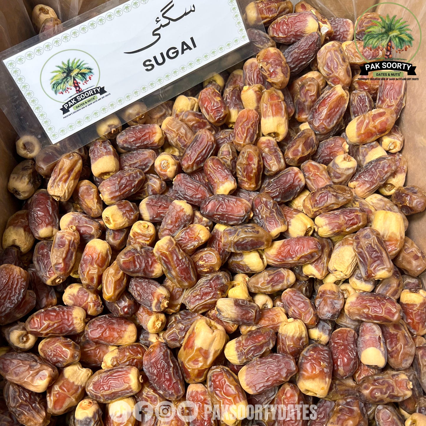 Sugai Dates  l تمر صقعي