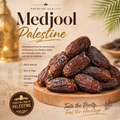 Medjool Jordan l مجدول الأردن