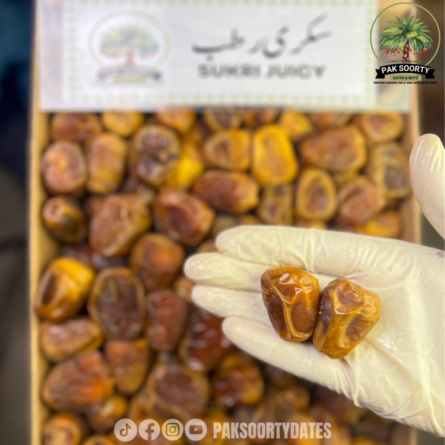 Sukkari Juicy Dates l تمر سكري رطب